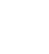 Dogecoin